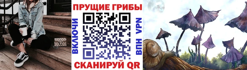 Псилоцибиновые грибы мицелий  Саянск 
